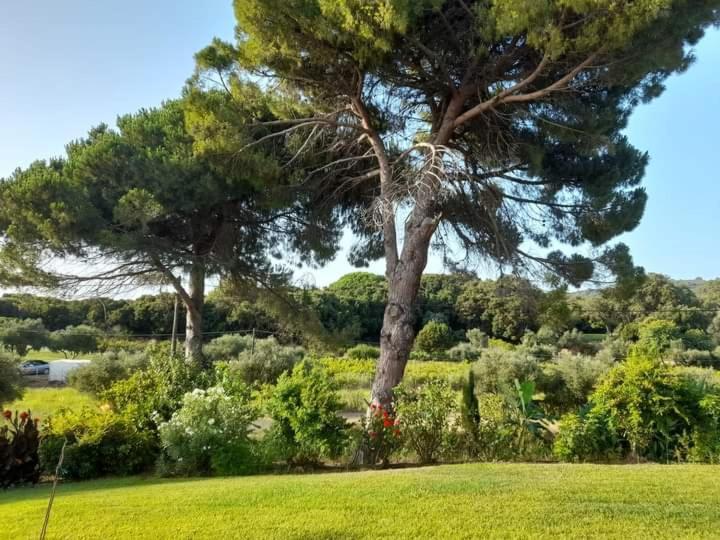 Armiriki Apartments Κορακοχώρι Εξωτερικό φωτογραφία